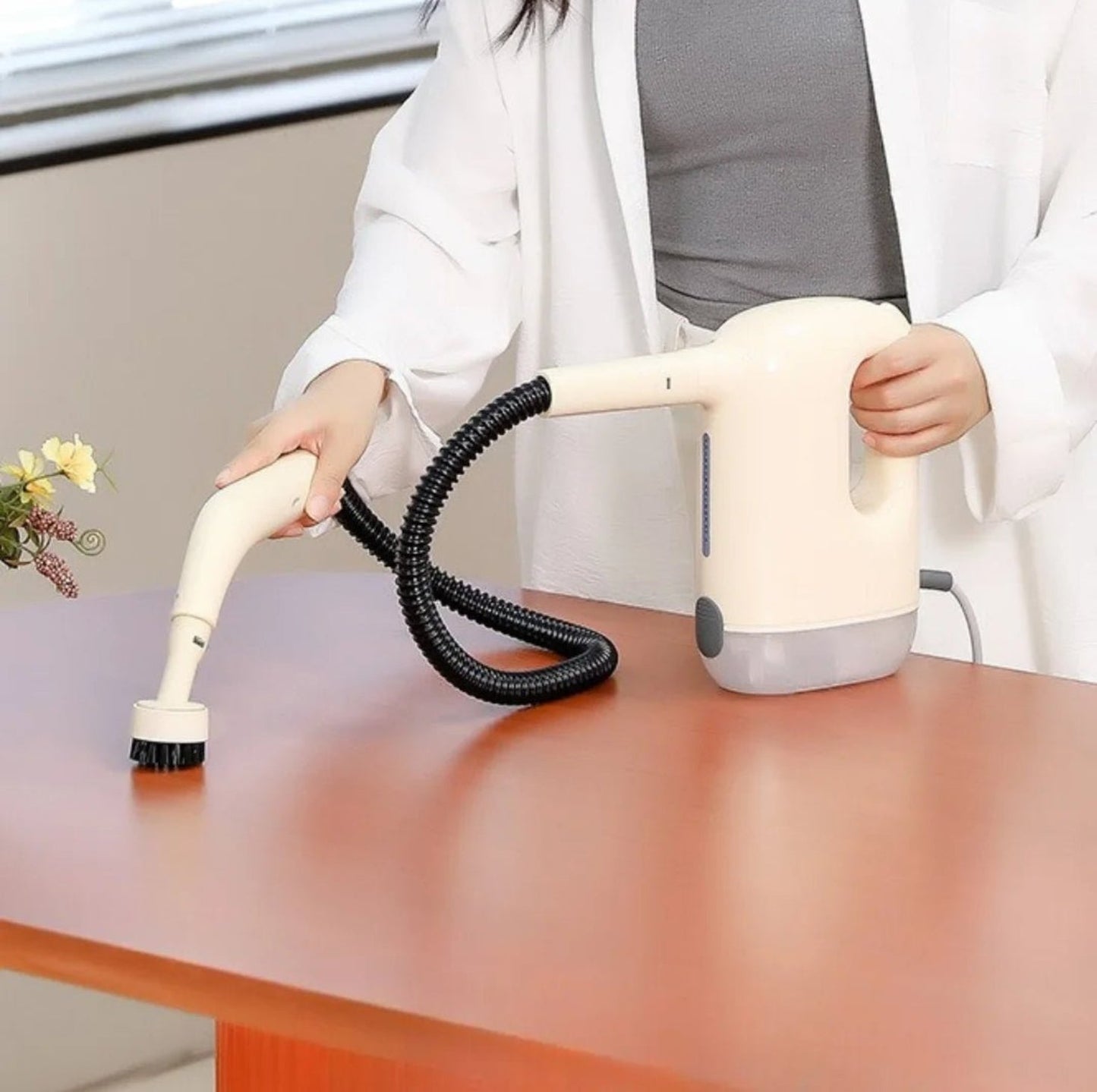 π Compact Steam Cleaner